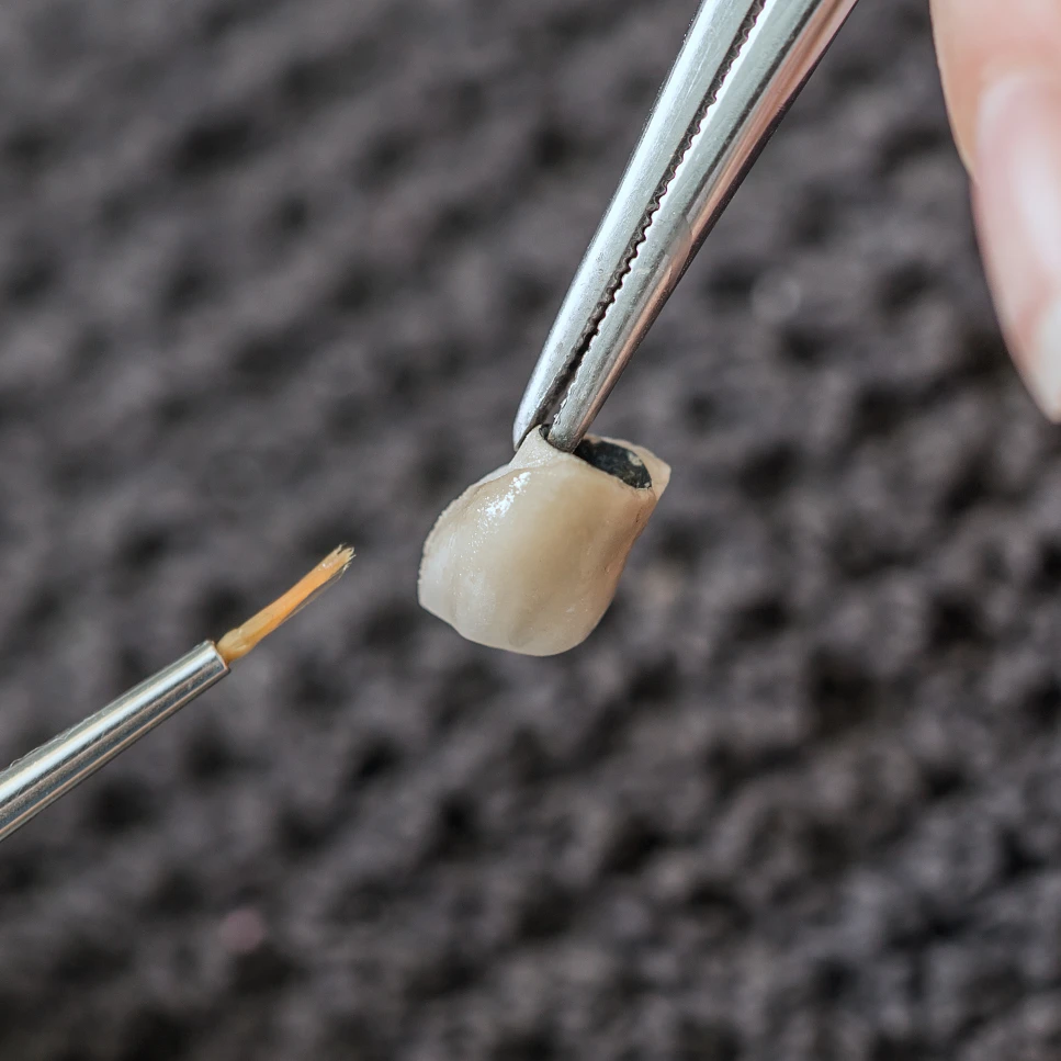 dental technician painting a dental crown